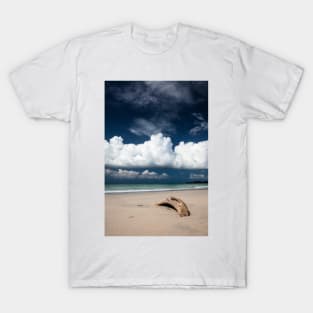 Beach driftwood and dark blue sky T-Shirt